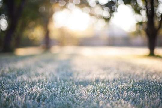 frost covered grass in sunshine